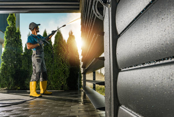 Best Roof Cleaning and Mildew Removal in San Benito, TX
